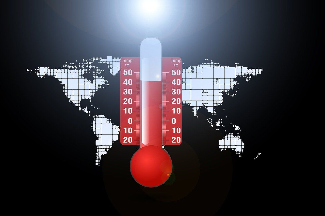 découvrez les causes, les impacts et les solutions face au changement climatique. informez-vous sur les enjeux de l'environnement et l'urgence d'agir pour préserver notre planète.