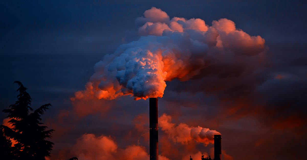découvrez tout sur l'empreinte carbone : son impact sur l'environnement, comment la mesurer et des solutions pour la réduire afin de promouvoir un mode de vie durable.