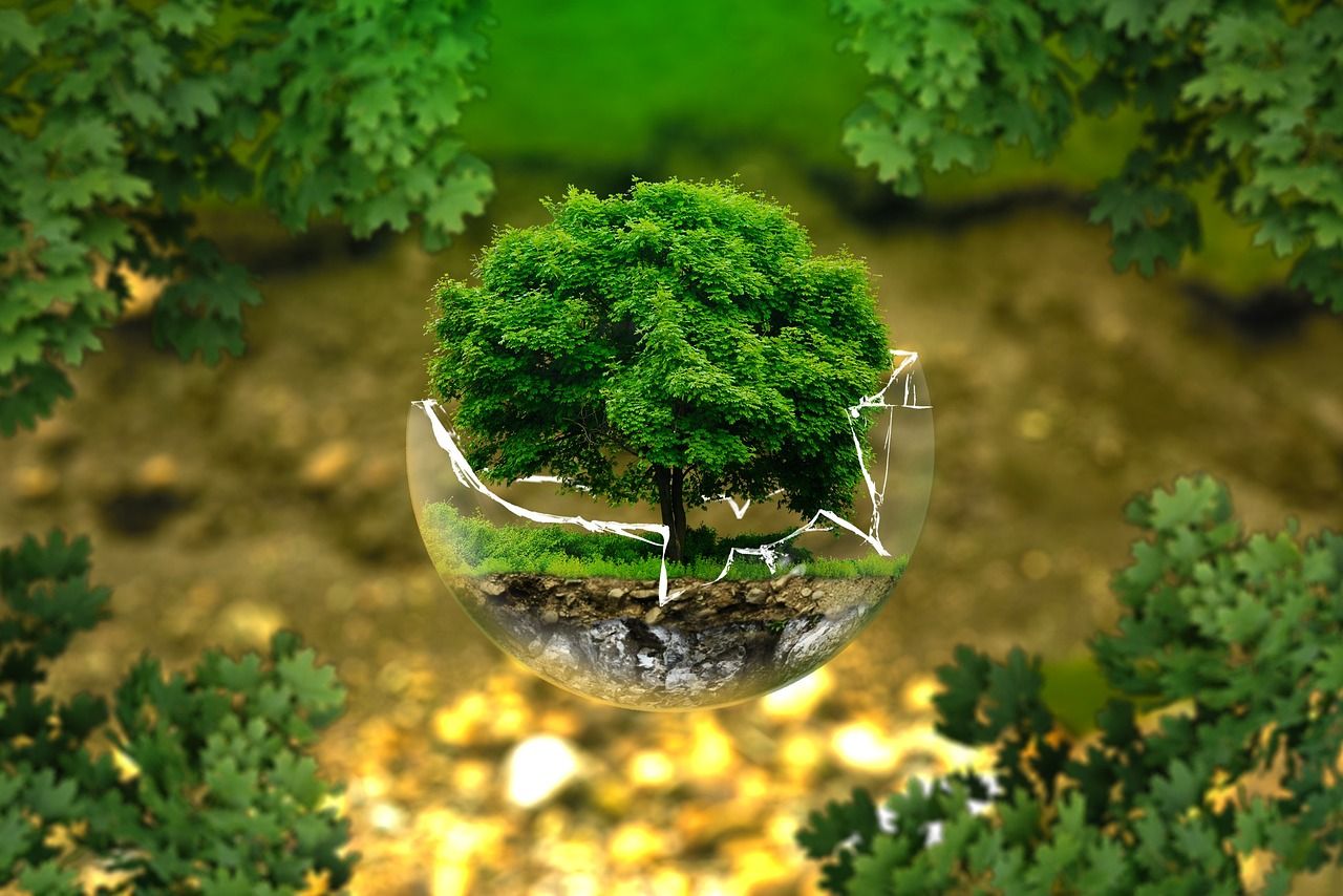 découvrez les coûts environnementaux liés à nos activités quotidiennes et à l'industrie. analysez l'impact écologique et apprenez comment réduire votre empreinte environnementale pour un avenir durable.