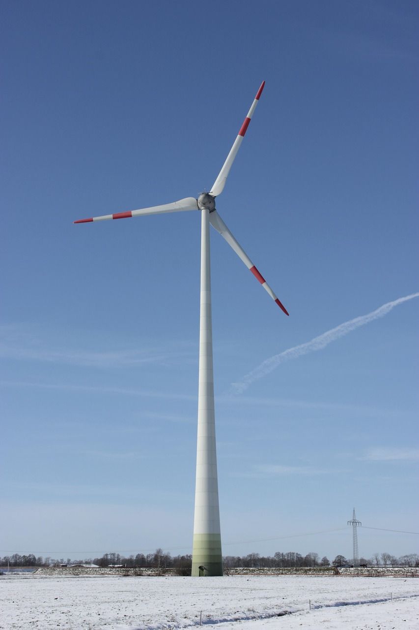 découvrez l'importance de la durabilité et comment adopter des pratiques respectueuses de l'environnement pour préserver notre planète. explorez des stratégies innovantes et des exemples concrets pour un avenir durable.