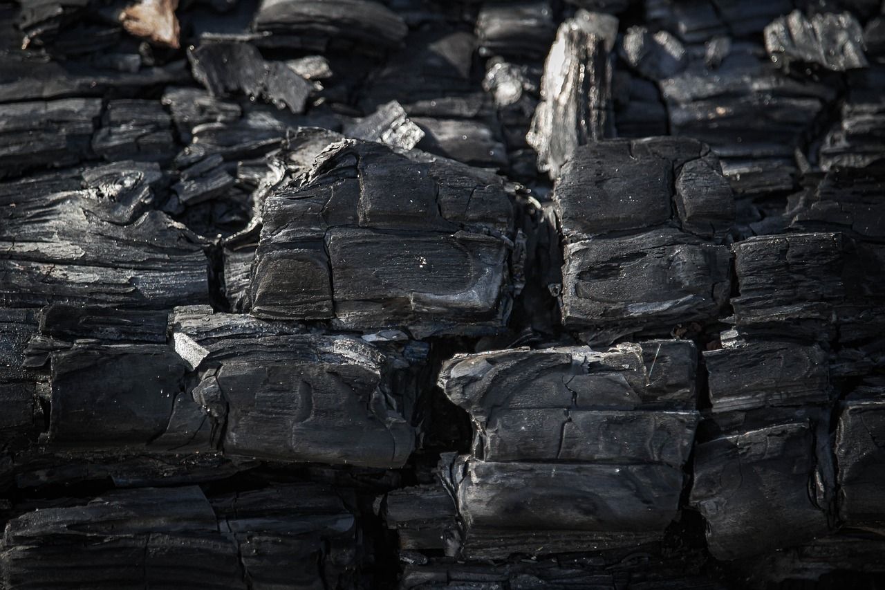 découvrez comment réduire votre empreinte carbone pour un avenir plus durable. apprenez des stratégies pratiques et des conseils pour minimiser l'impact environnemental de vos actions quotidiennes.