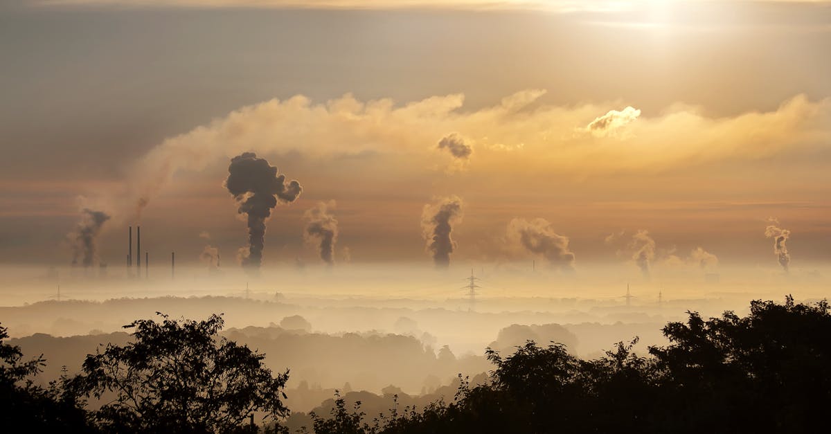 découvrez tout ce qu'il faut savoir sur l'empreinte carbone, son impact sur l'environnement et les moyens de la réduire au quotidien. agissons ensemble pour un avenir durable.