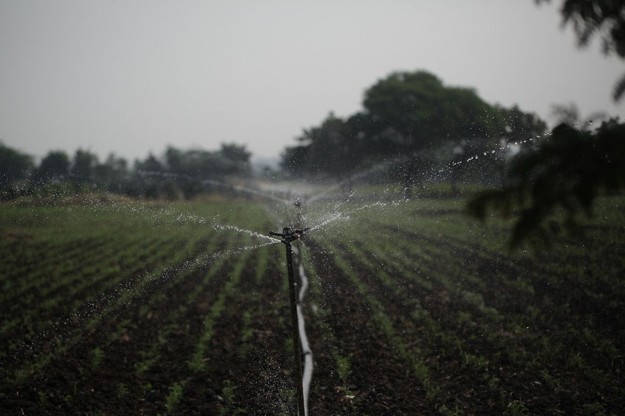 découvrez les pratiques de gestion durable des terres qui préservent l'environnement tout en favorisant le développement économique. apprenez comment optimiser les ressources naturelles pour une agriculture responsable et un avenir durable.