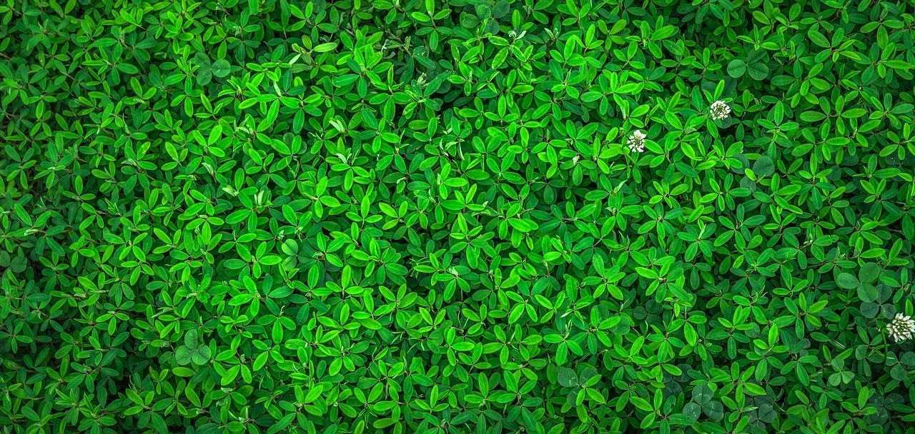 découvrez le gaming éco-responsable : des pratiques durables et des technologies respectueuses de l'environnement pour profiter de vos jeux tout en protégeant la planète.
