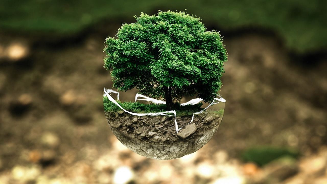 découvrez l'importance de l'évaluation environnementale, un processus clé permettant d'analyser les impacts d'un projet sur l'environnement. informez-vous sur les méthodologies, les réglementations et les meilleures pratiques pour protéger notre planète tout en développant des solutions durables.