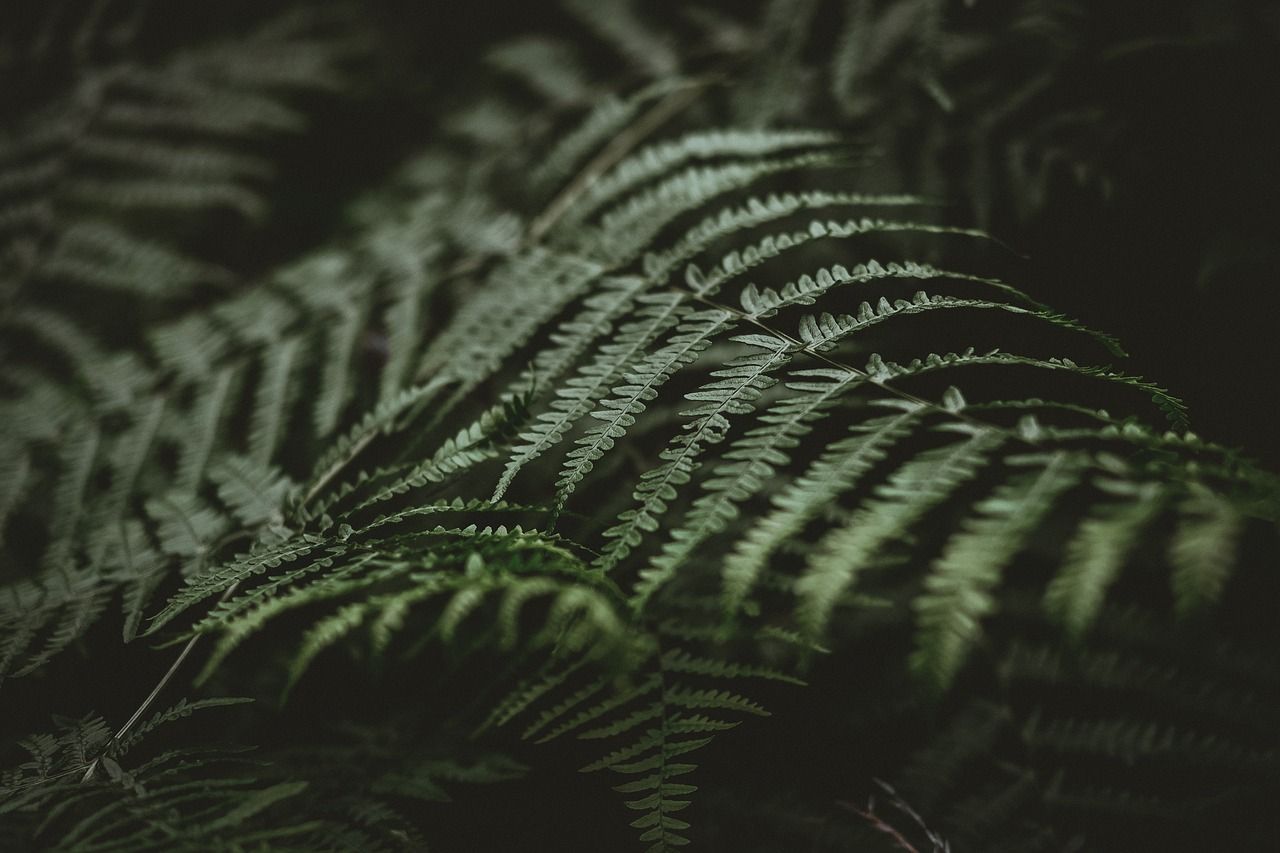 découvrez les opportunités de financement durable avec le green financing. explorez comment les investissements écologiques favorisent la transition vers une économie durable tout en générant des rendements financiers.