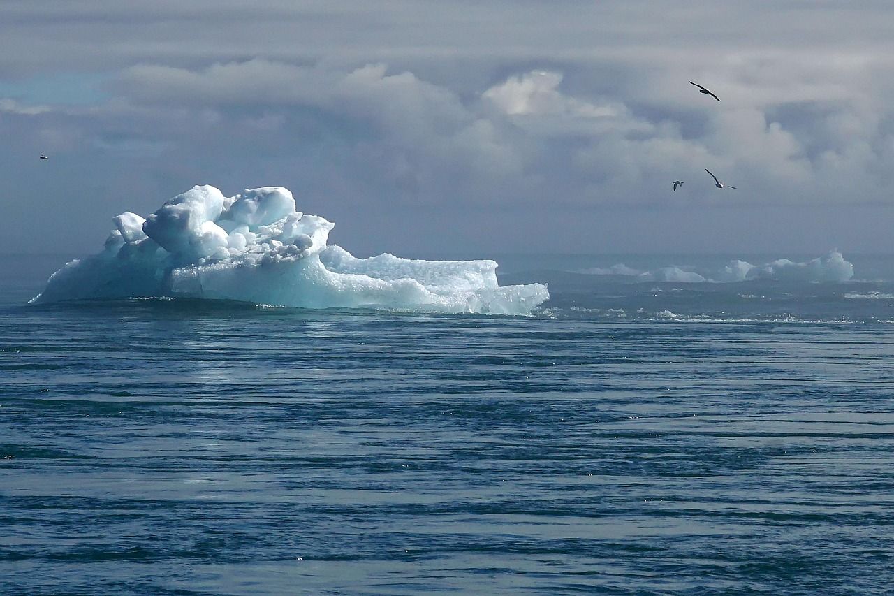 découvrez les causes, impacts et solutions face au changement climatique. informez-vous sur les enjeux environnementaux actuels et les actions pour un avenir durable.