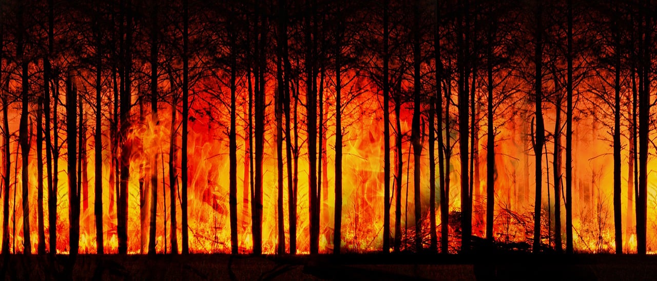 découvrez les causes, conséquences et solutions liées au changement climatique. informez-vous sur les effets du réchauffement climatique et comment agir pour protéger la planète.
