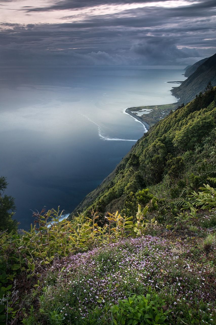 découvrez la richesse de la biodiversité, son importance pour notre planète et les actions nécessaires pour la préserver. explorez les écosystèmes fascinants et apprenez comment chaque espèce joue un rôle crucial dans l'équilibre de notre environnement.