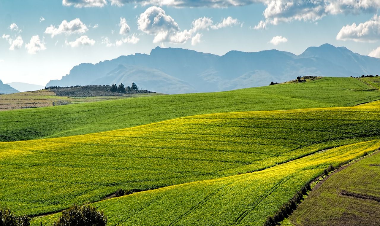 découvrez l'agriculture durable, une approche essentielle pour cultiver des aliments de manière responsable et respectueuse de l'environnement. explorez les pratiques, technologies et avantages de ce mode de culture qui préserve la biodiversité et répond aux besoins des générations futures.