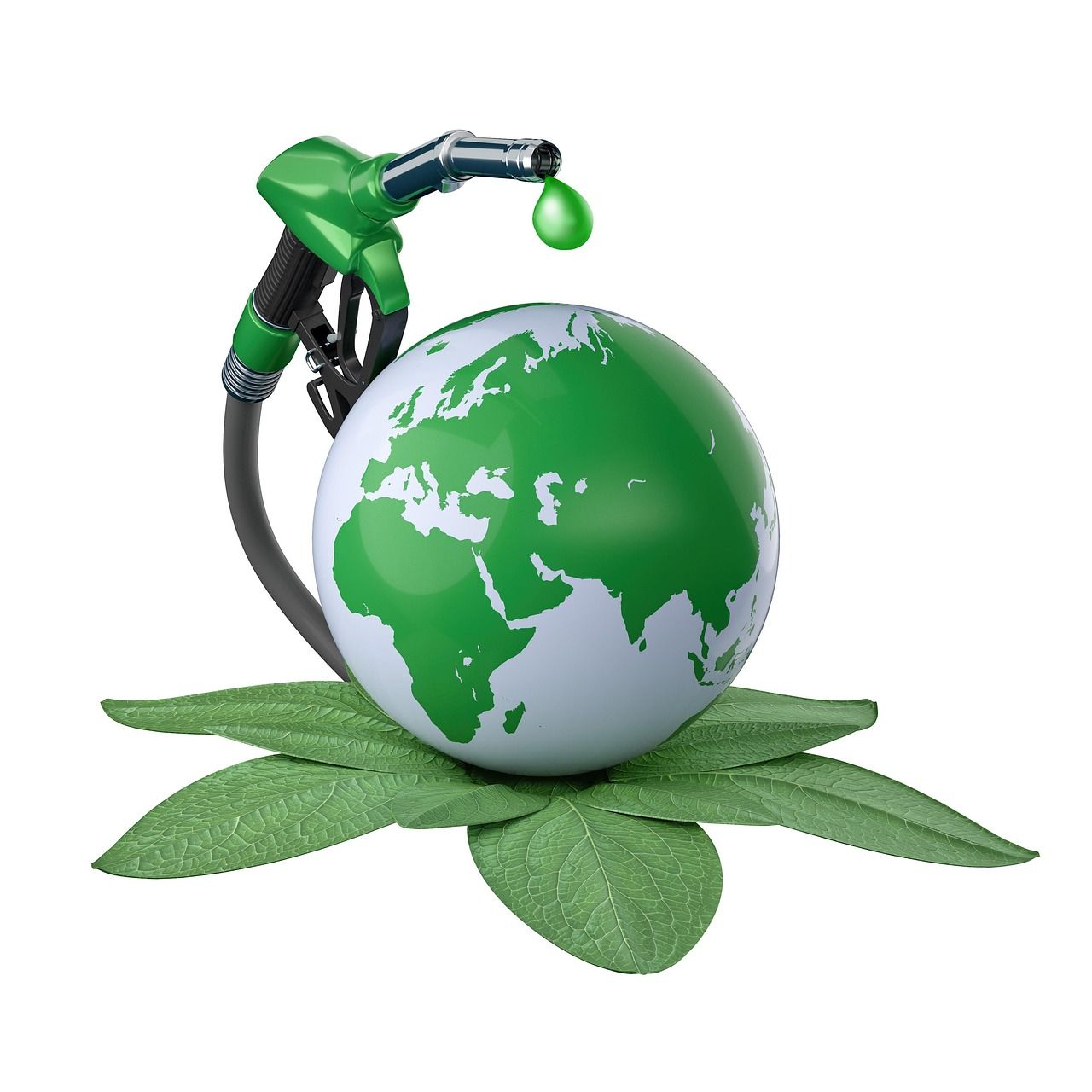 découvrez comment les ressources renouvelables, telles que l'énergie solaire, éolienne et hydraulique, transforment notre façon de consommer et de produire de l'énergie, tout en préservant notre planète pour les générations futures.