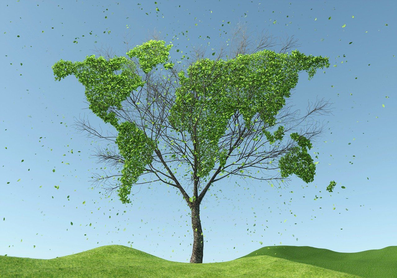 découvrez l'importance de la durabilité dans notre société actuelle. explorez des pratiques écologiques, des méthodes de consommation responsables et des solutions innovantes pour préserver notre planète pour les générations futures.