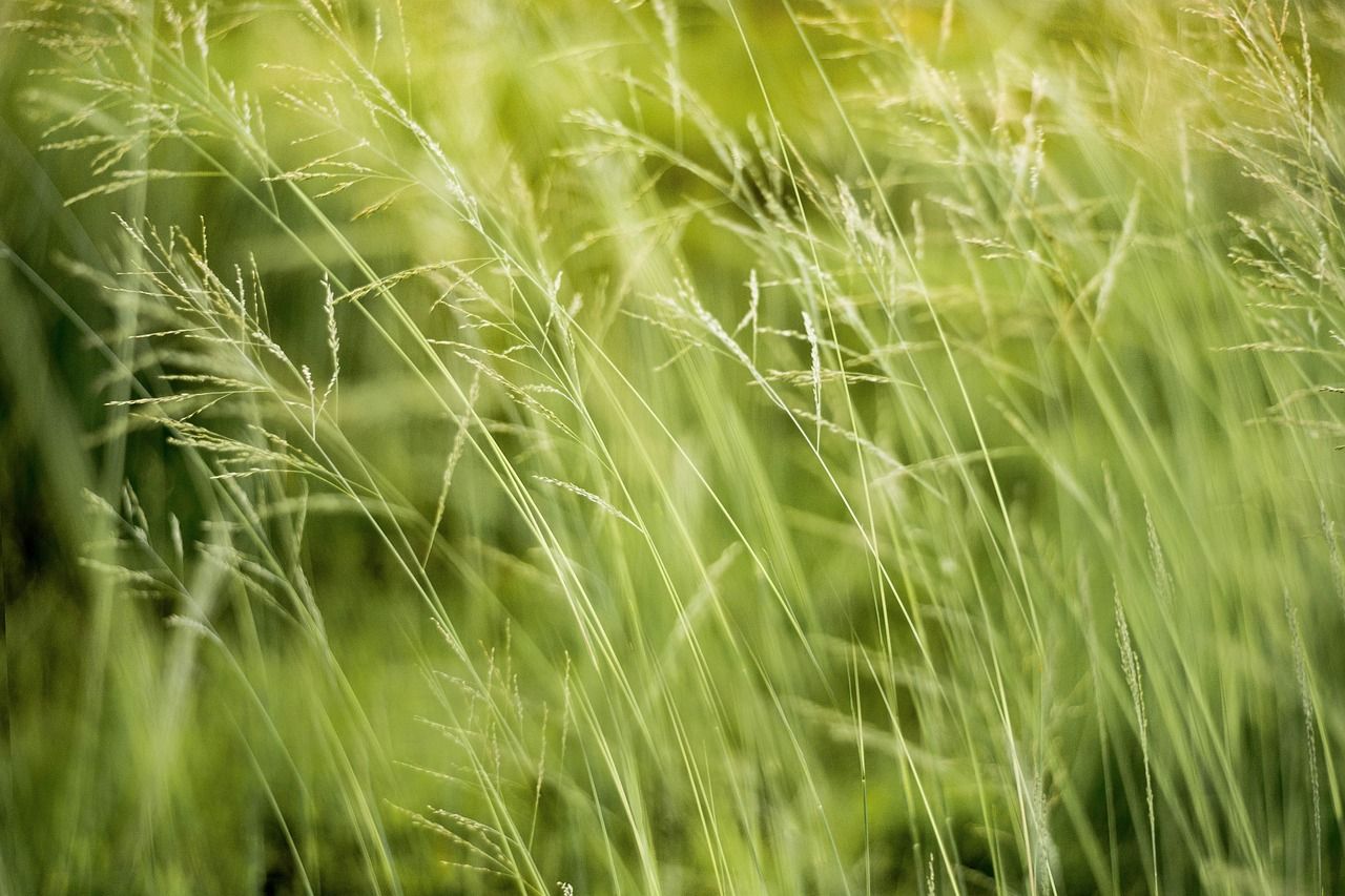 découvrez l'impact environnemental de nos activités sur la planète. analysez les conséquences du changement climatique, de la pollution et de la déforestation, et apprenez comment réduire votre empreinte écologique pour préserver notre terre.