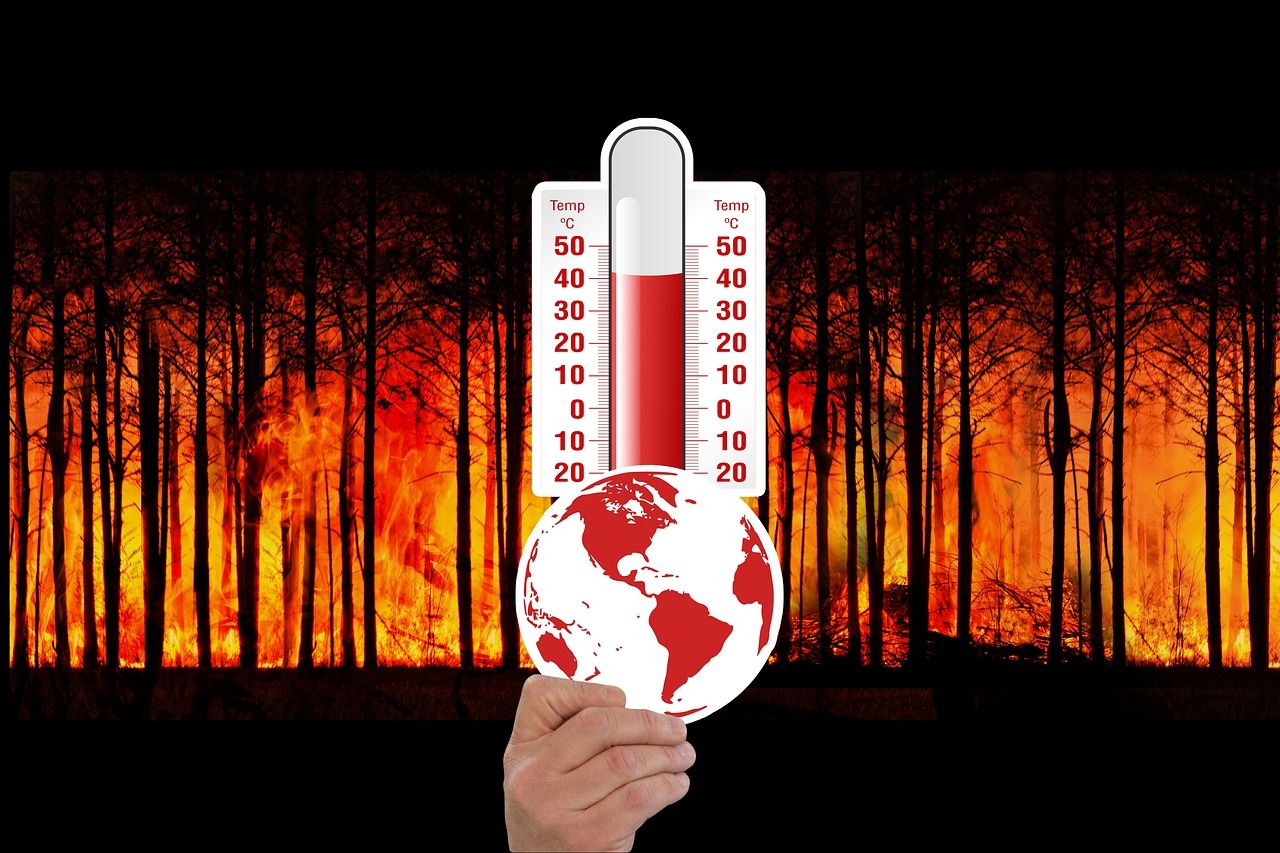 découvrez les causes, impacts et solutions face au changement climatique. informez-vous sur les actions à adopter pour protéger notre planète et assurer un avenir durable.