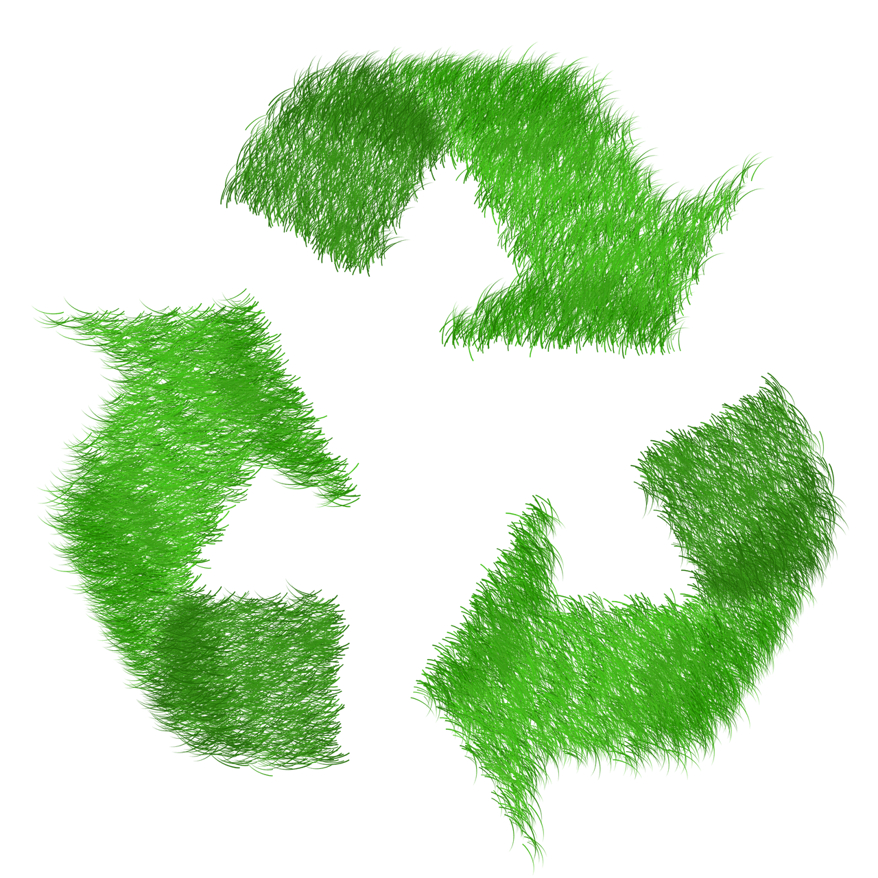 découvrez l'importance du recyclage pour préserver notre planète. apprenez comment trier vos déchets, les matériaux recyclables et les bénéfices environnementaux du recyclage. engagez-vous pour un avenir durable en comprenant les étapes clés du processus de recyclage.