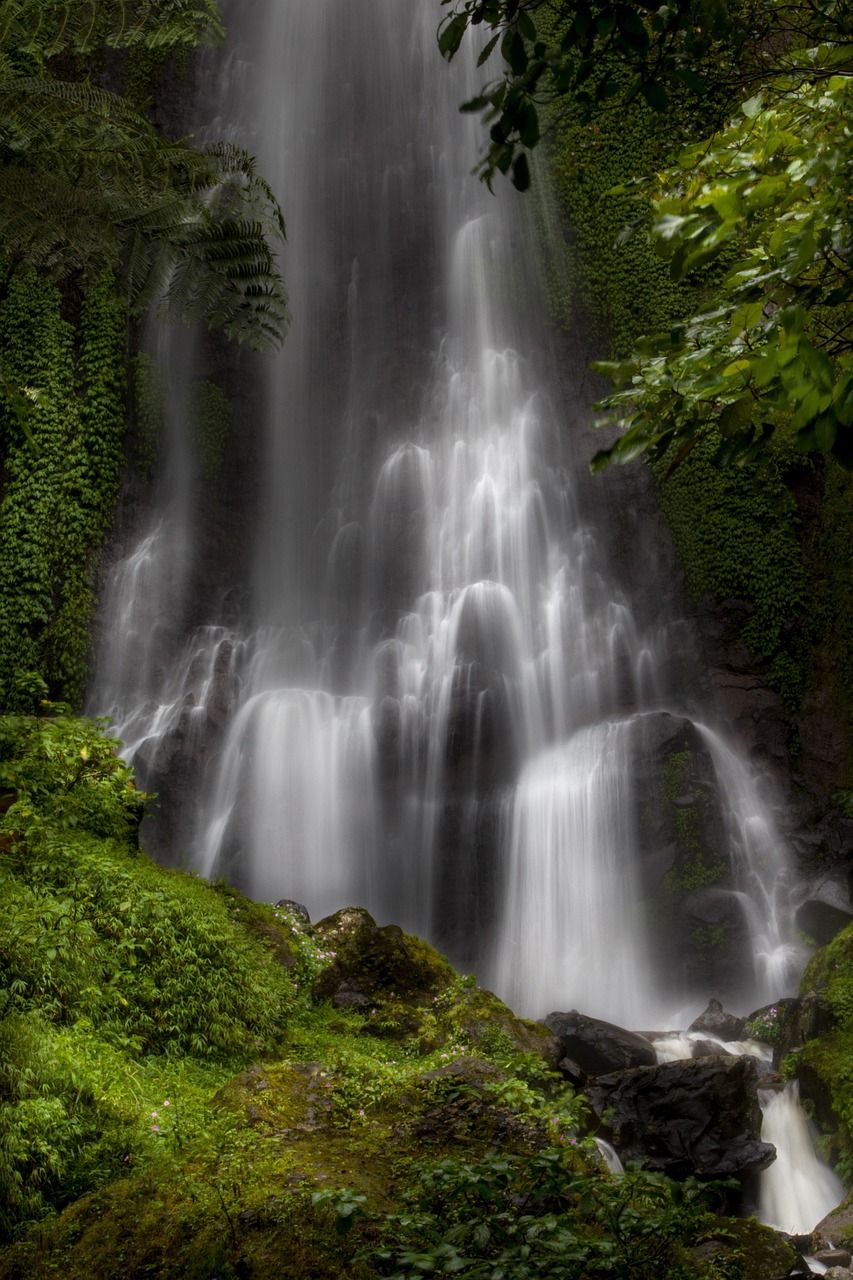 découvrez les merveilles des oasis naturelles : des jardins luxuriants au cœur du désert, des écosystèmes uniques où la biodiversité prospère. apprenez comment ces sanctuaires de verdure offrent refuge et ressources aux visiteurs et à la faune. évadez-vous et explorez la beauté fascinante de ces oasis préservées.