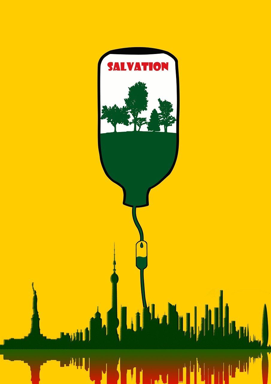 découvrez comment préserver notre environnement pour les générations futures. explorez des actions concrètes pour protéger la biodiversité, réduire les déchets et lutter contre le changement climatique.