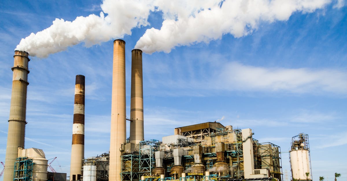 découvrez comment réduire votre empreinte carbone et adopter des pratiques durables. retrouvez des conseils pratiques, des astuces et des informations sur l'impact environnemental de vos choix au quotidien.