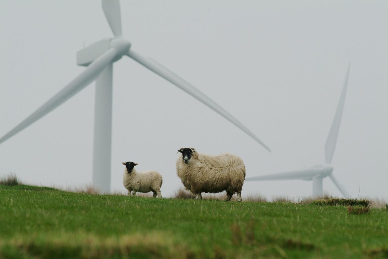 découvrez comment adopter la durabilité dans votre quotidien grâce à des conseils pratiques et des ressources innovantes pour préserver l’environnement et bâtir un avenir plus responsable.