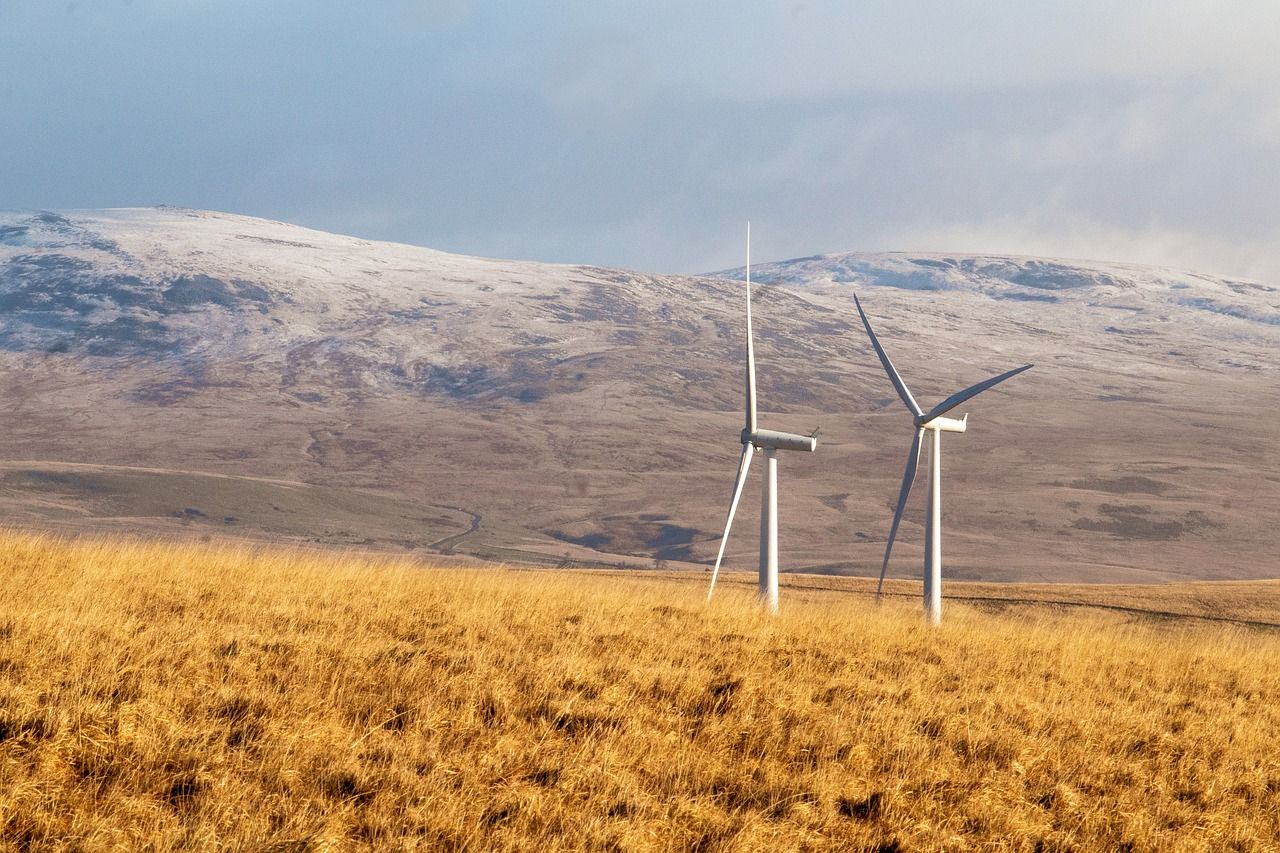 découvrez l'univers de l'énergie renouvelable, une solution durable et écologique pour réduire notre empreinte carbone. apprenez-en plus sur les différentes sources d'énergie verte, leurs avantages et comment elles contribuent à un avenir plus durable.