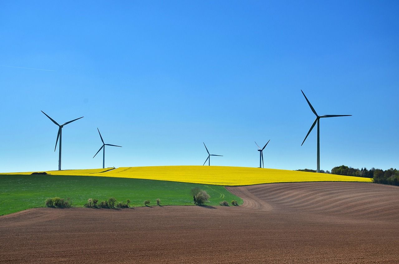 découvrez nos programmes durables, conçus pour promouvoir un avenir respectueux de l'environnement. engagez-vous pour un développement durable et participez à des initiatives qui préservent notre planète tout en soutenant des communautés locales.