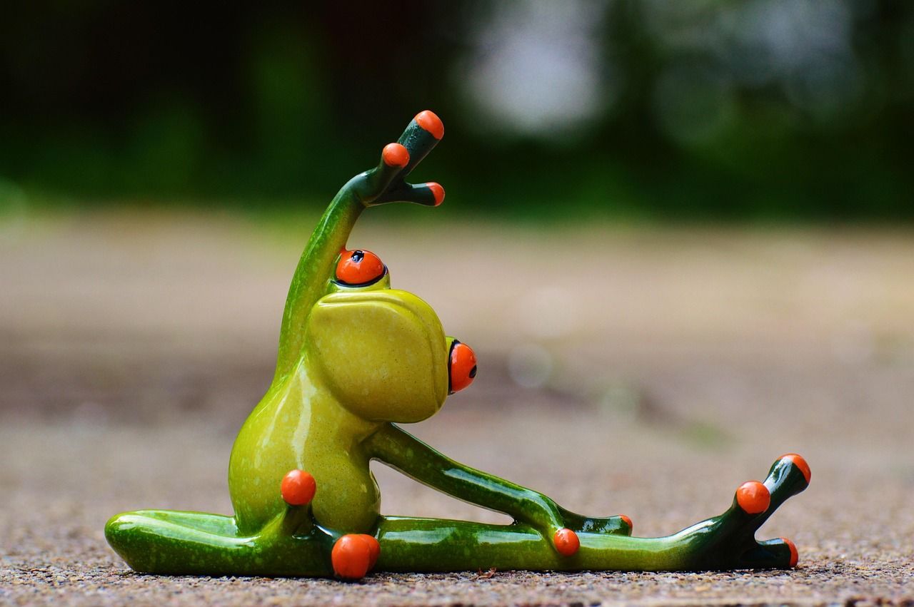 découvrez notre formation sur la transition écologique, conçue pour vous fournir les compétences essentielles et les connaissances nécessaires pour contribuer à un avenir durable. apprenez les stratégies et les pratiques innovantes pour intégrer l'écologie dans vos projets et actions professionnelles.