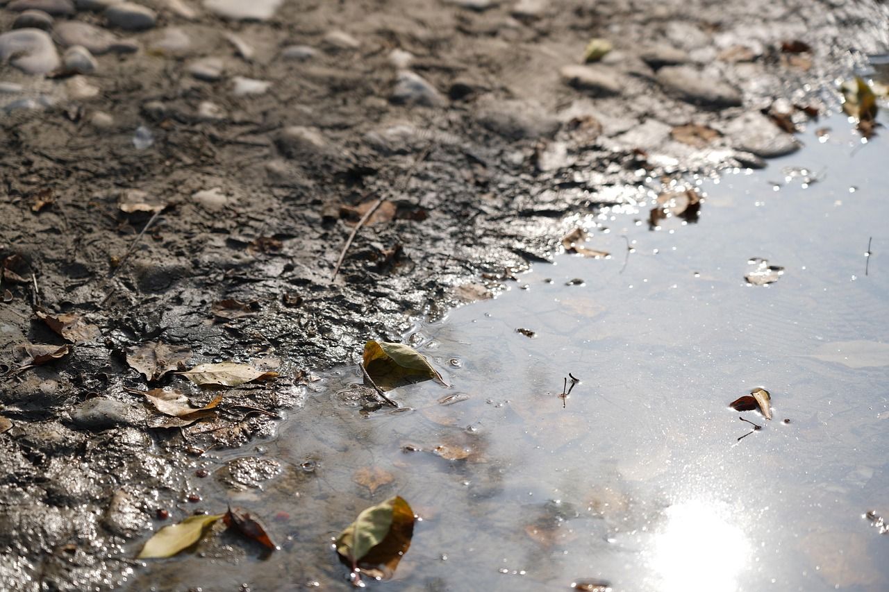 découvrez les causes et les conséquences de la pollution sur notre environnement et notre santé. apprenez comment réduire votre empreinte écologique et contribuer à un avenir plus sain.