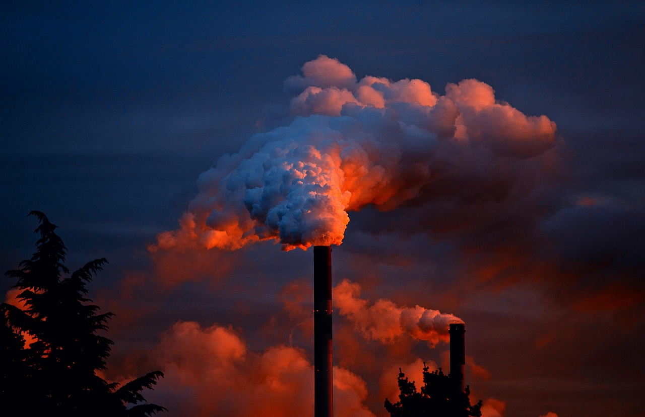 découvrez l'impact environnemental de nos actions et apprenez comment adopter des pratiques durables pour préserver notre planète. explorez les enjeux écologiques et les solutions innovantes pour réduire notre empreinte carbone.