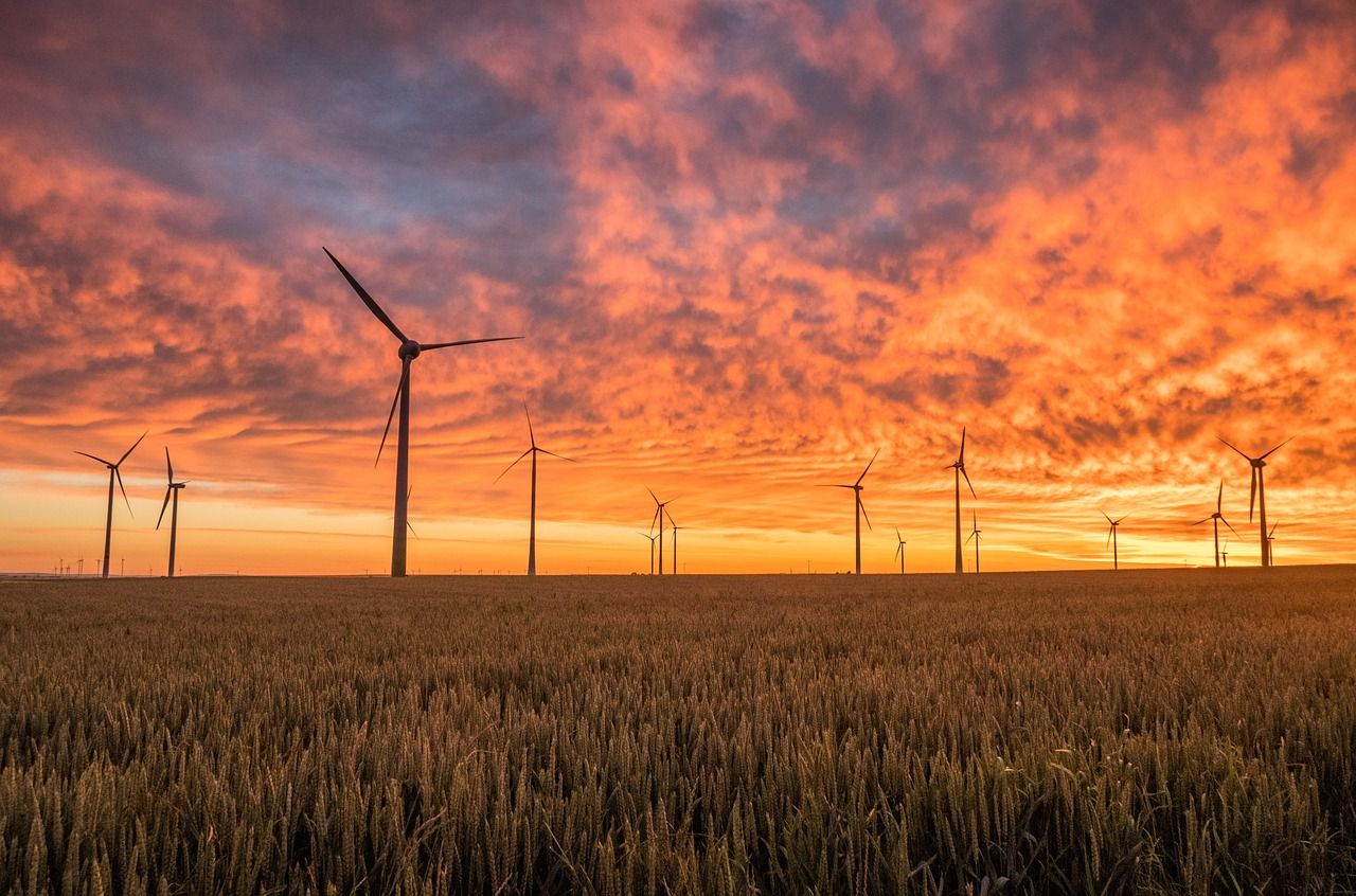 découvrez les solutions innovantes et durables de l'énergie renouvelable pour un avenir plus écologique et respectueux de l'environnement.