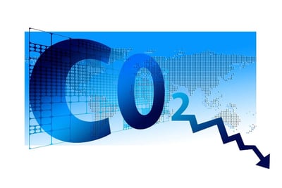 Élevage et empreinte carbone : comprendre son impact environnemental