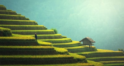 Propulser la transition écologique grâce à un système alimentaire durable, résilient et équitable