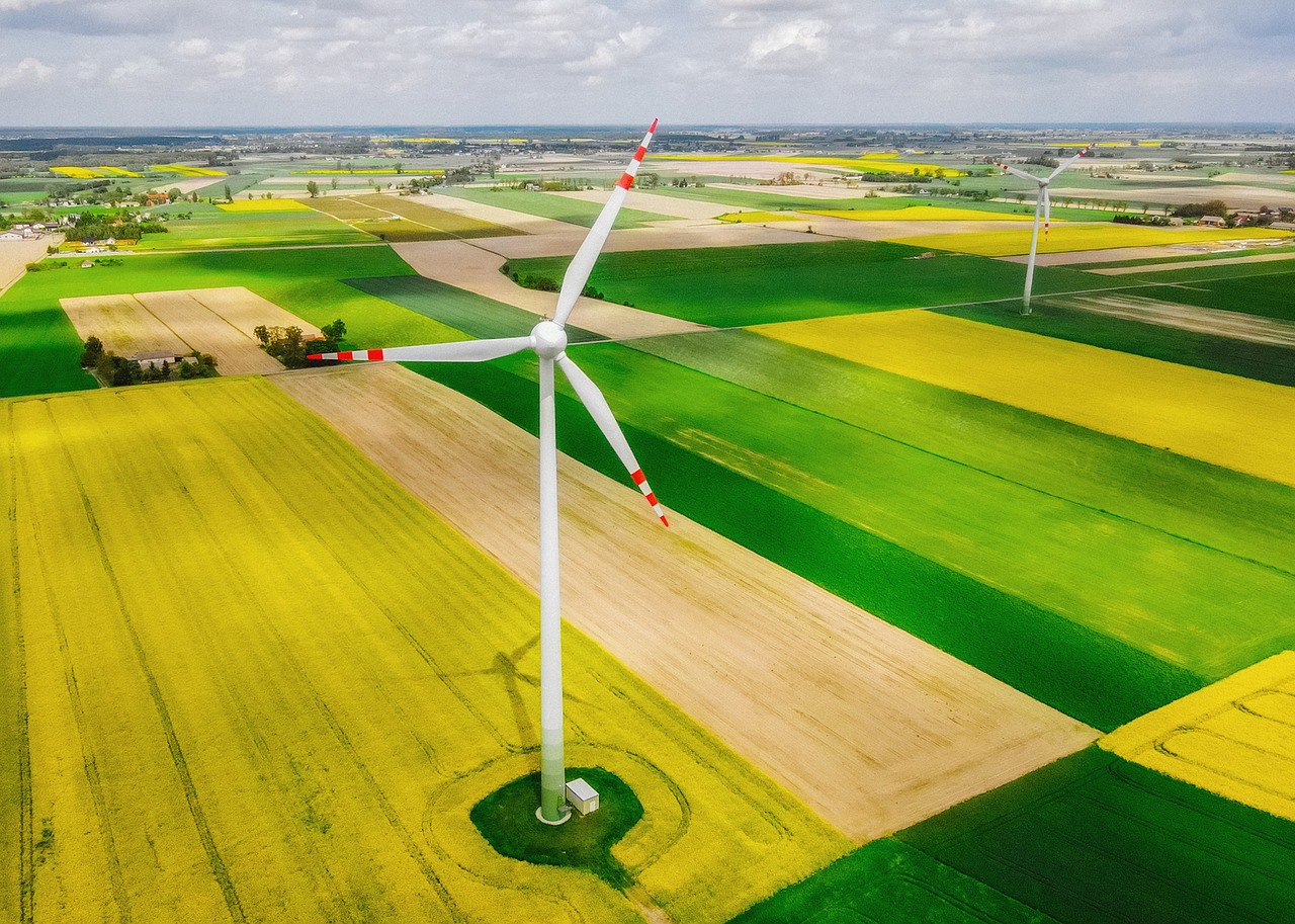 Énergies de la biomasse : comprendre leurs avantages et enjeux pour un futur durable