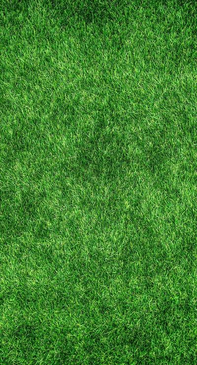 Produits ménagers écologiques : les solutions naturelles pour un intérieur sain