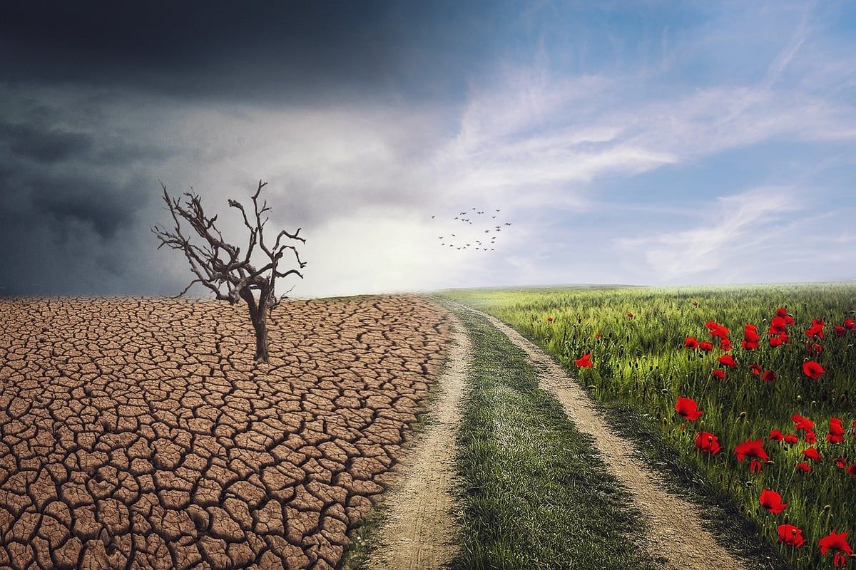 État des lieux du climat : Données essentielles pour la France, l’Europe et le Monde – Édition 2024