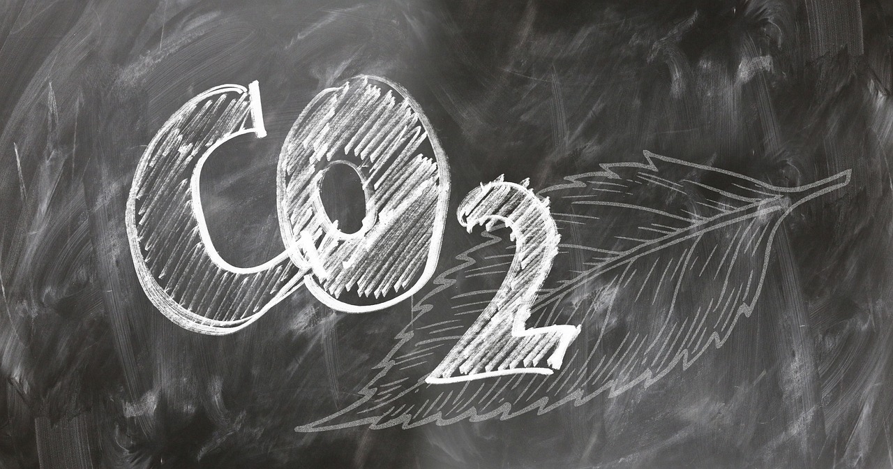 Bilan carbone : actions à privilégier pour être éco-responsable