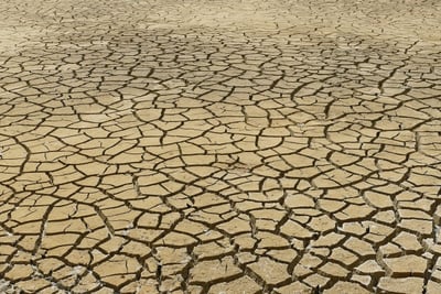 Anticiper et s’adapter aux défis du changement climatique