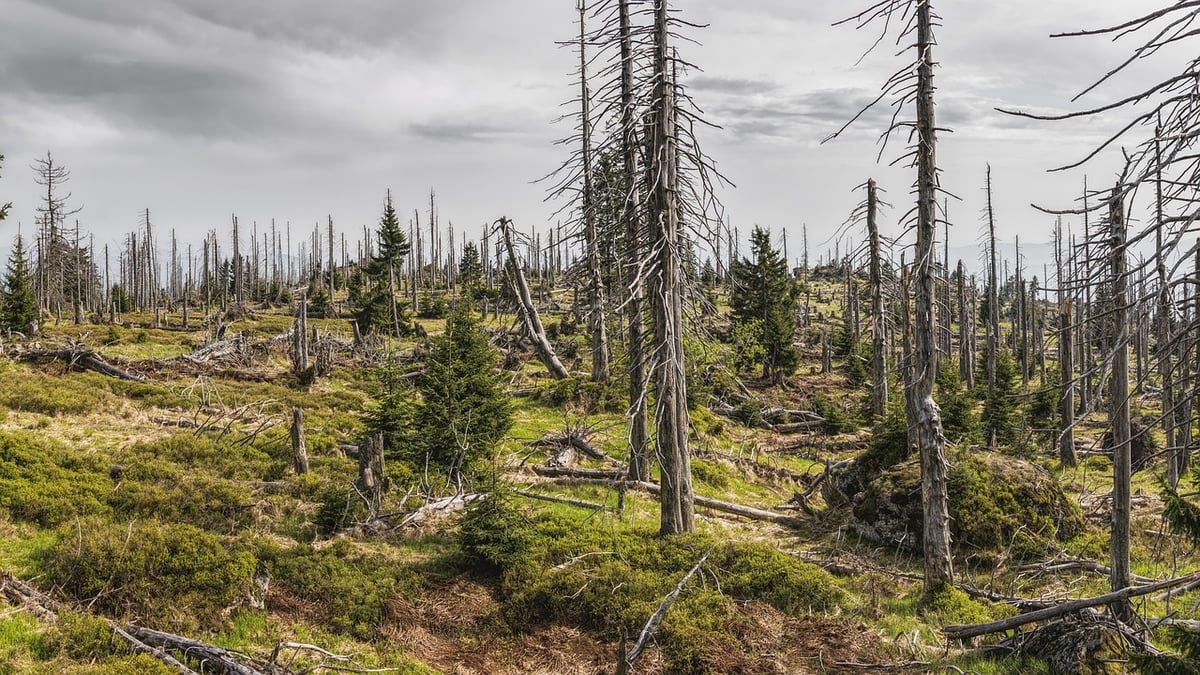 L’environnement, un sujet d’actualité pris en main par les médias