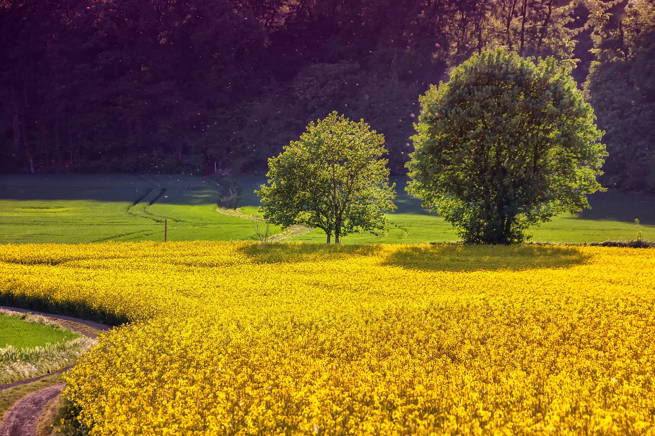 Agriculture durable : Les clés pour un avenir respectueux de l’environnement