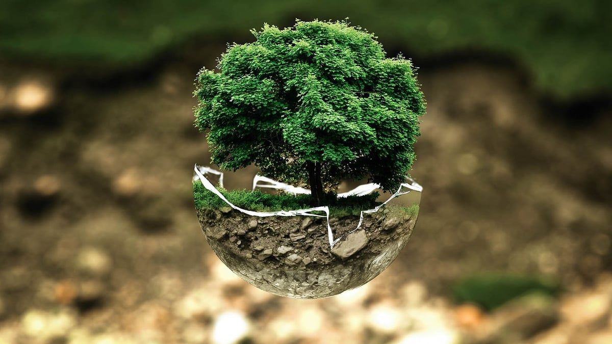 Notre dévouement envers la protection de l’environnement