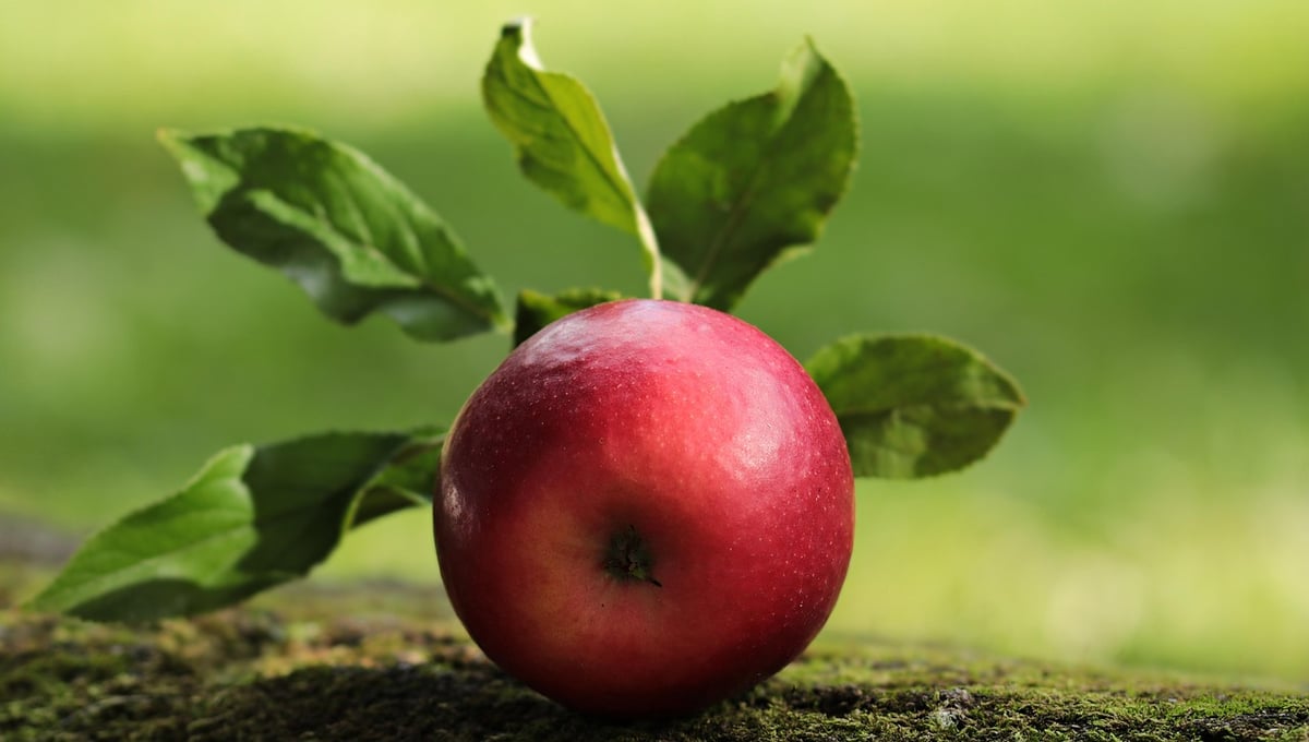 En Sicile, la subtile métamorphose des vergers avec les fruits exotiques