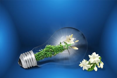 Énergies durables : comprendre leur importance pour l’avenir de notre planète
