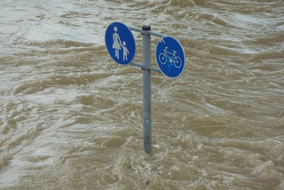 Catastrophes environnementales : comprendre les enjeux et les conséquences sur notre planète