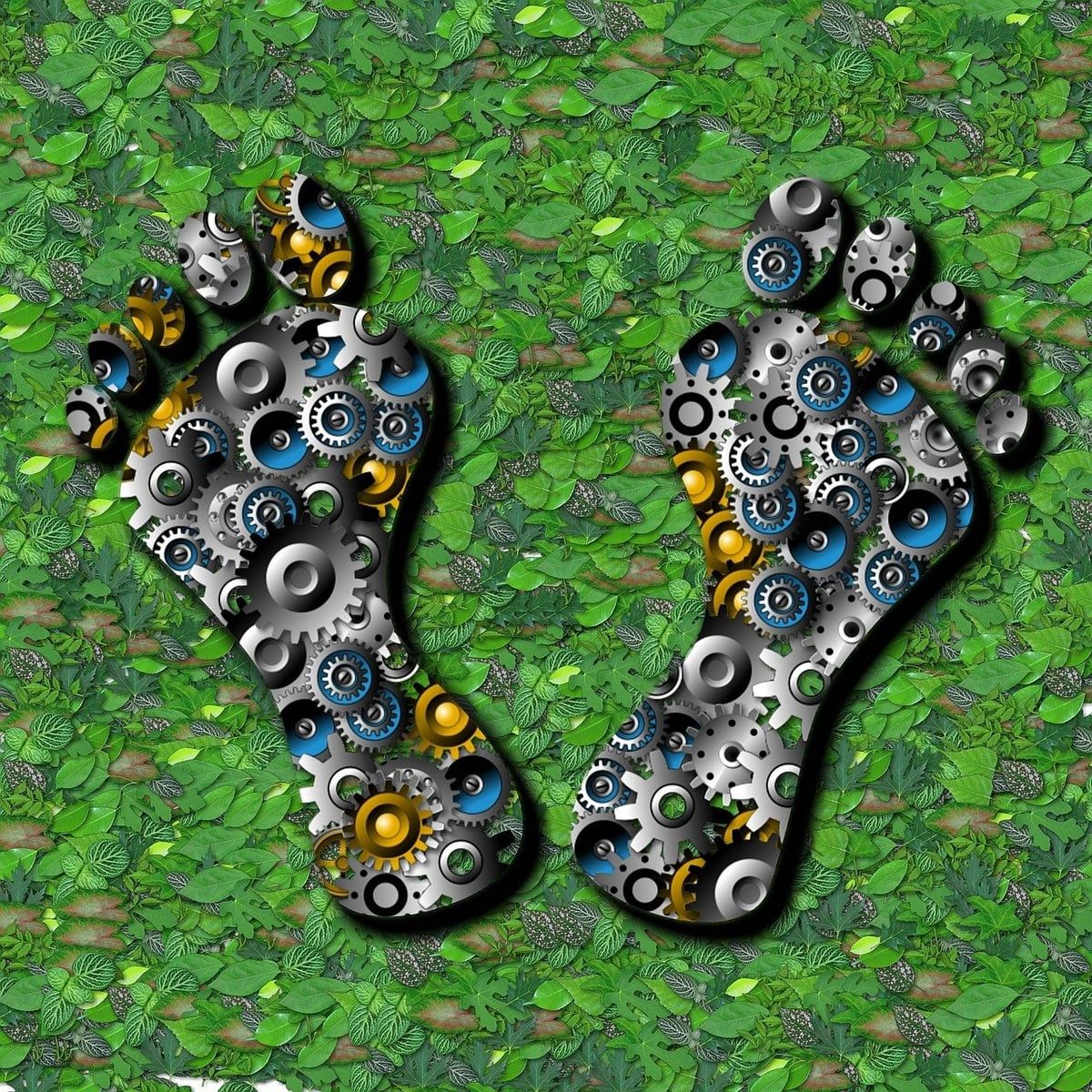 Réduction de l’empreinte écologique : 10 actions simples pour un mode de vie durable