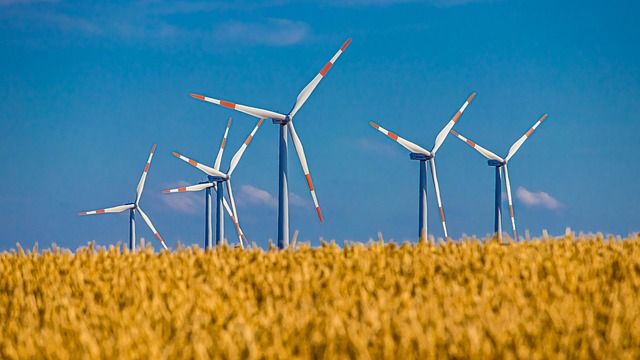 Décarbonation : quand les entreprises doivent réinventer leur futur pour un avenir durable