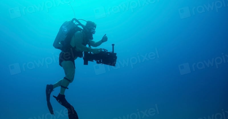 Comment protéger la biodiversité marine à Malte : 7 gestes qui changent tout