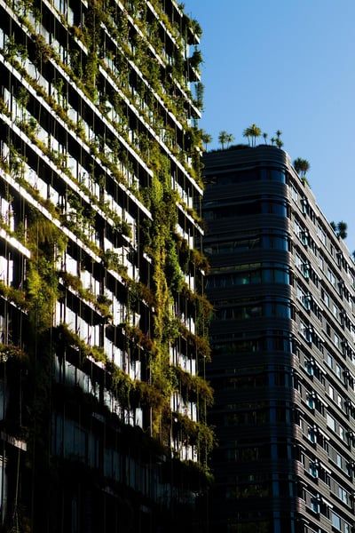 Comité environnemental : Initiatives durables pour un avenir meilleur