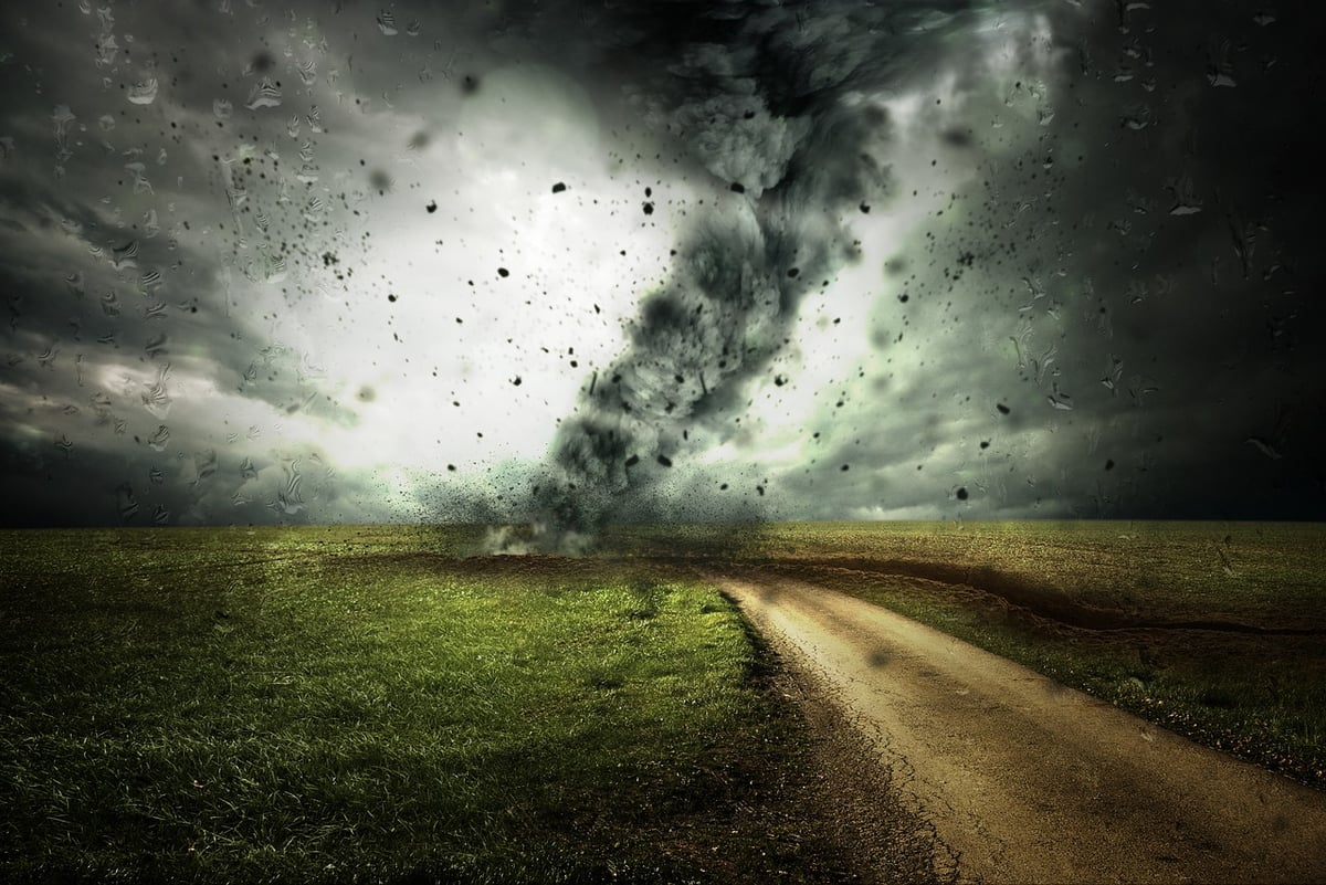 Adaptation aux changements climatiques : stratégies pour un avenir durable