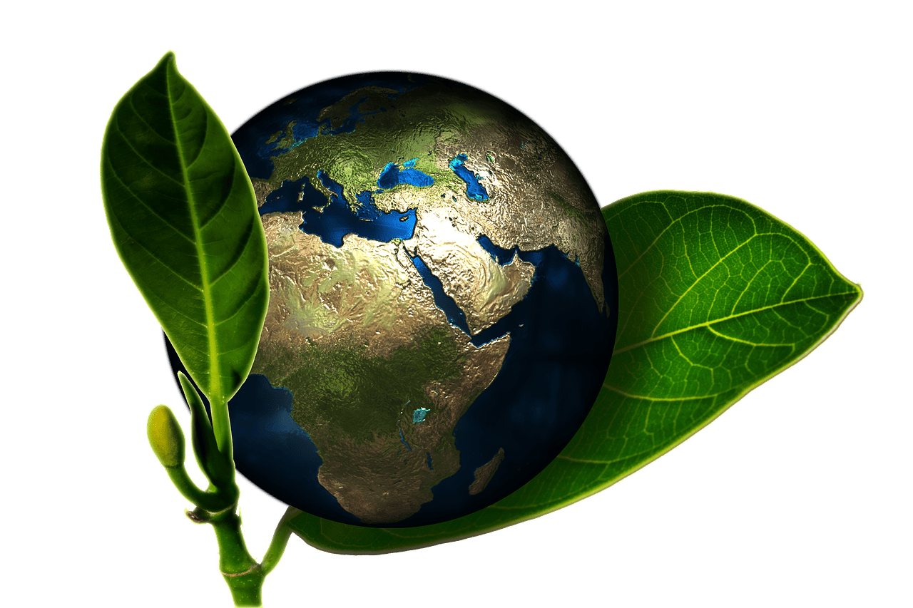 Responsabilité environnementale : Comment réduire notre impact sur la planète