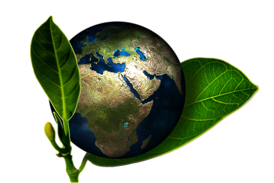 Responsabilité environnementale : Comment réduire notre impact sur la planète