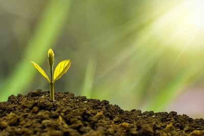Investissement durable : comment choisir des placements éthiques et rentables